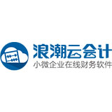 浪潮云会计